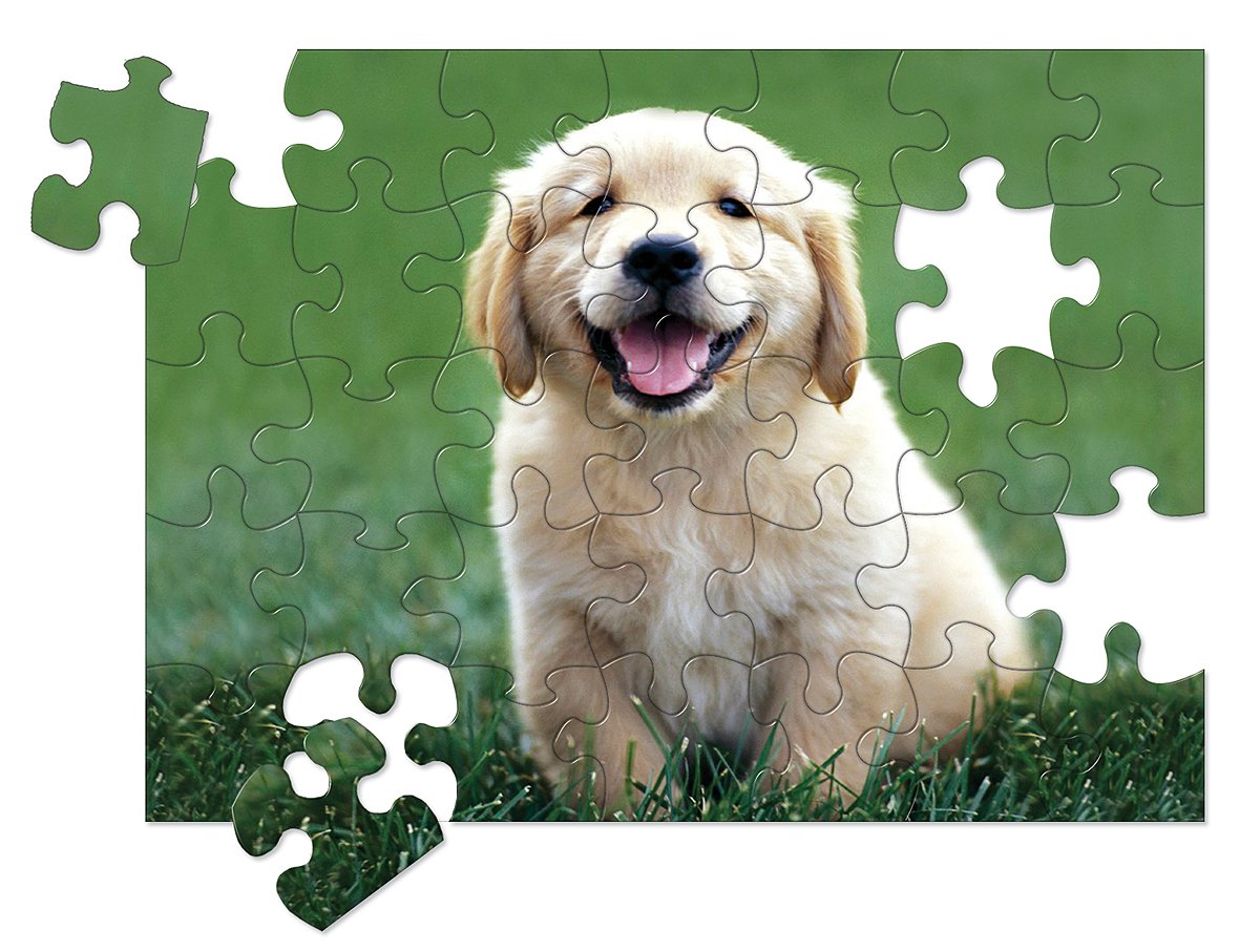 Melissa & Doug Golden Retriever Puppy Cardboard Jigsaw Puzzle - 30 Piece